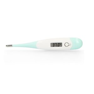 Alecto-digitaalne-termomeeter-BC-19