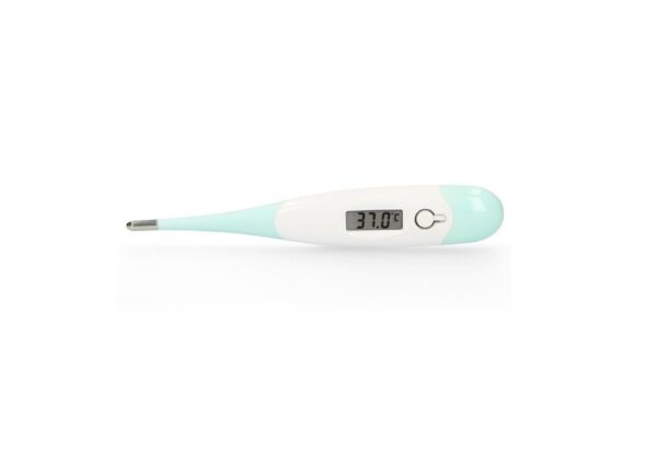 Alecto-digitaalne-termomeeter-BC-19