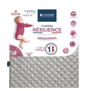 Candide-beebimadrats-Resilience