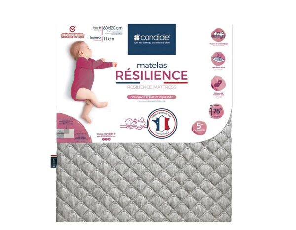 Candide-beebimadrats-Resilience
