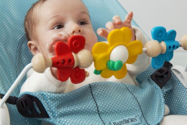 Toy20for20Bouncer20-20Flying20Friends202