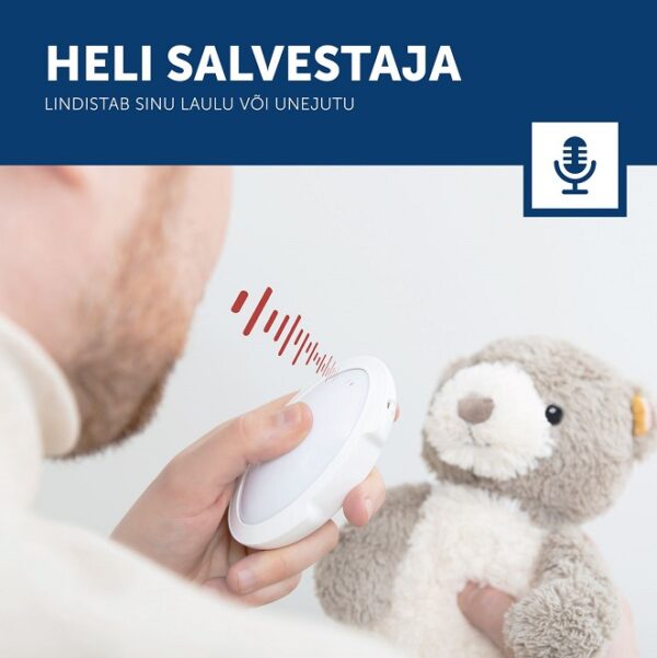 beebirahustaja-bruno-heli