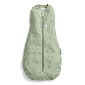 ergoPouch Cocoon Swaddle Bag, TOG 1 Willow