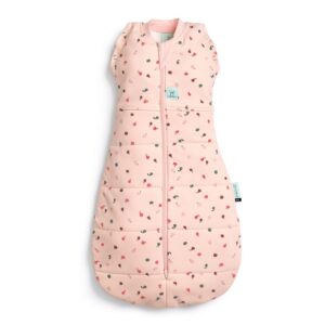 ergoPouch Cocoon Swaddle Bag, TOG 2.5 Cute Fruit