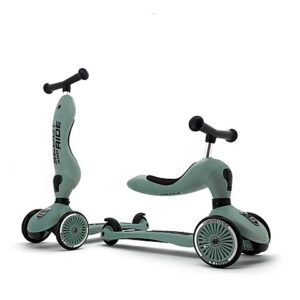 scoot-and-ride-highwaykick1-forest