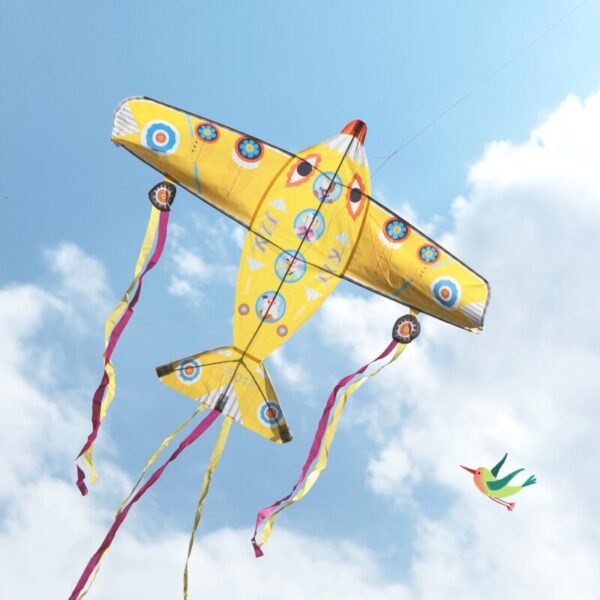 Djeco-tuulelohe-Maxi-Plane1